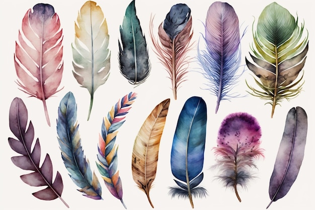 A set of colored feathers with different colors.