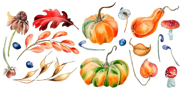 Set of colorful autumn leaves and pumpkins watercolor illustration isolated on white