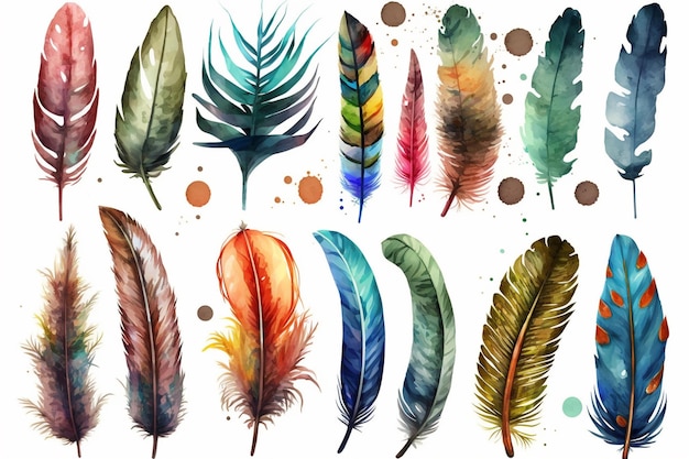 A set of colorful feathers with a black background.