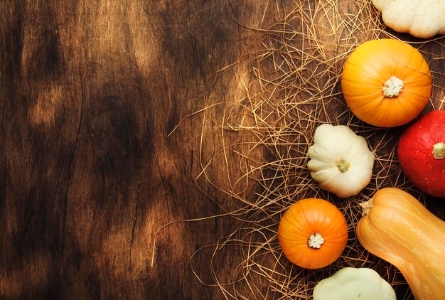 Set of colorful pumpkins on wood flat lay empty space Fresh squashes on wooden table rustic autumn background Seasonal harvest fall organic food healthy food concept