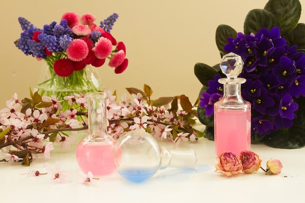 Photo set of colourful flowers and aroma oil