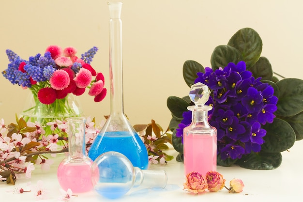 Set of colourful flowers and aroma oil