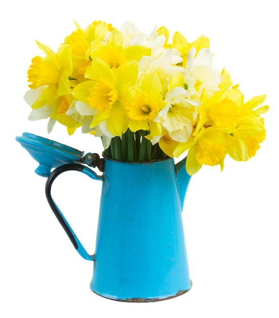 Set of colourful freshly cut flowers