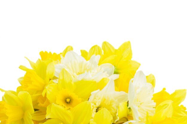 Set of colourful freshly cut flowers