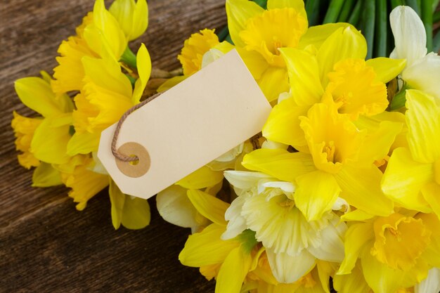 Set of colourful freshly cut flowers