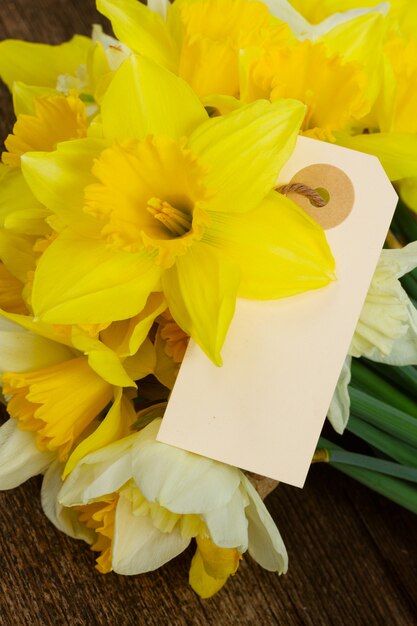 Set of colourful freshly cut flowers