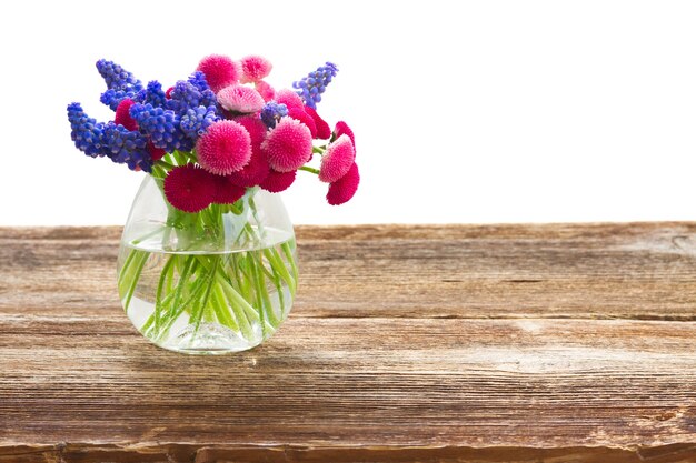 Set of colourful freshly cut flowers