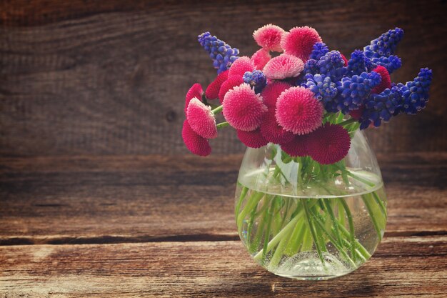 Set of colourful freshly cut flowers