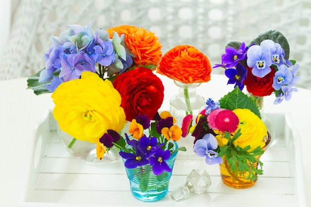 Set of colourful freshly cut flowers