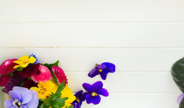 Set of colourful freshly cut flowers