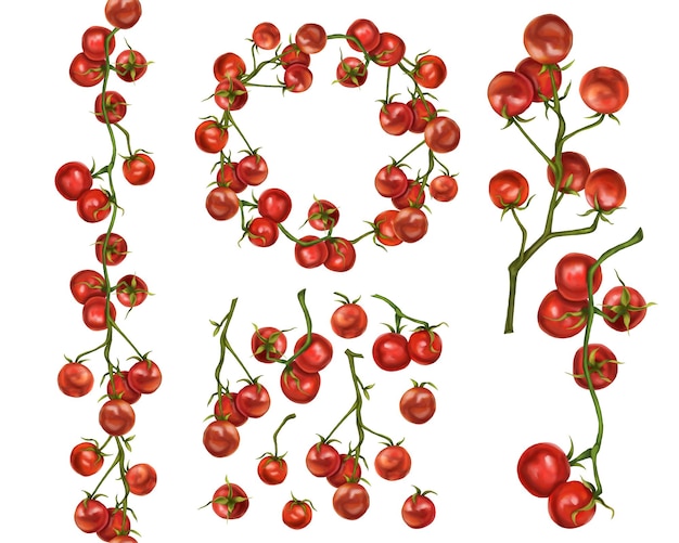 A set of compositions from farm cherries on a twig Round frame seamless border of tomatoes