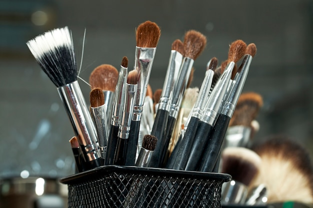 Set of a cosmetic brushes