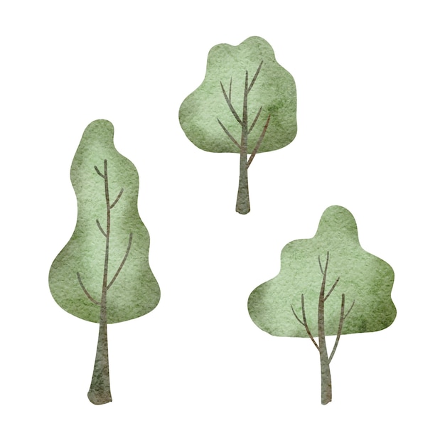 Set of cute cartoon deciduous trees bright stylized wonderland forest bushes birch poplar aspen