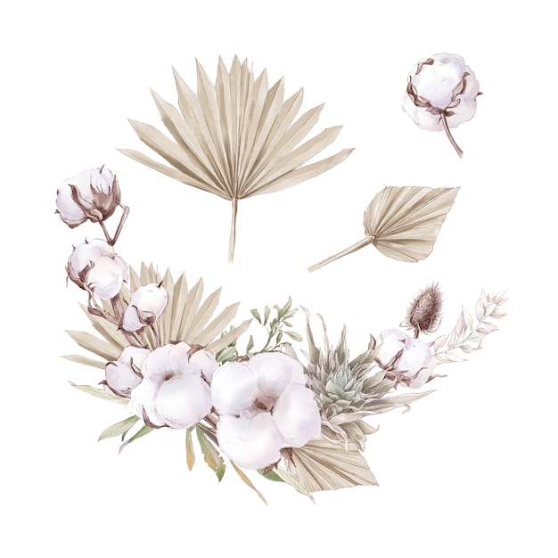 Set of cute cotton flowers branches and leaves. Watercolor illustration.