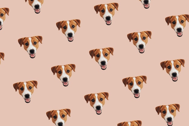 Set of cute Jack Russell Terrier dog Funny collection head pattern of puppy on peach fuzz background