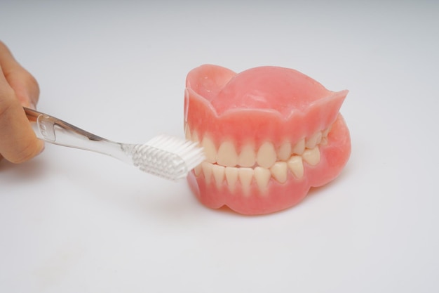 A set of dentures with a brush in the mouth.