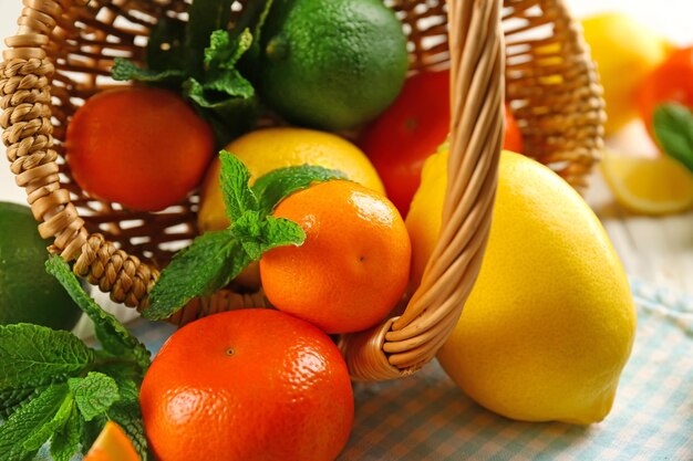 Set of different citrus fruit close up