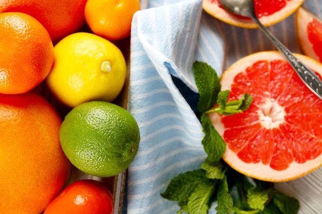 Set of different citrus fruit close up