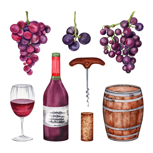 Set druiven wijn glazen fles corkscrew vat wijn kurkjes met de hand getekende aquarel illustratie
