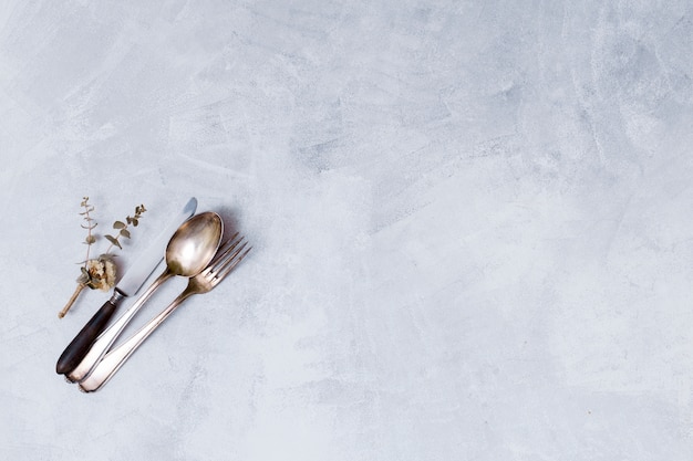 Photo set of dry plant and cutlery