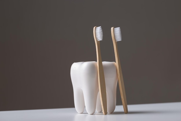 A set of ecofriendly bamboo wooden toothbrushes in a toothshaped holder