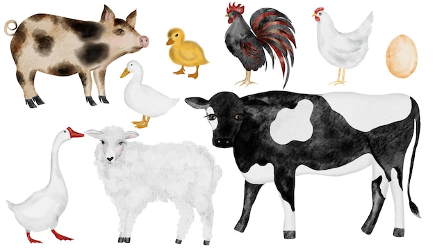 農場の動物のセット ペットの可愛い水彩画 手描きの牛と<unk> 羊と