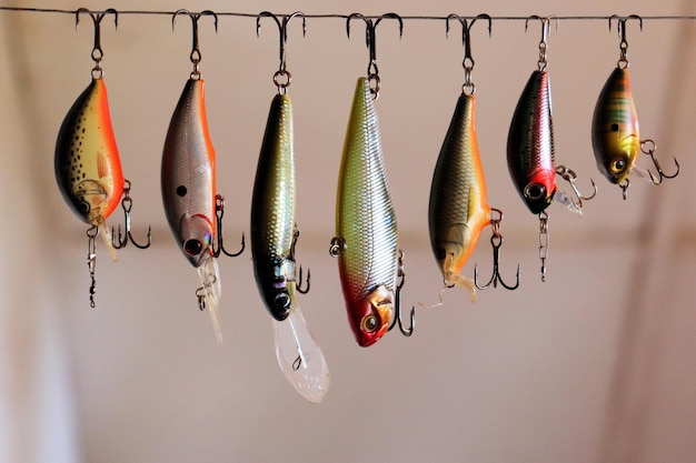 A set of fishing lures and equipment