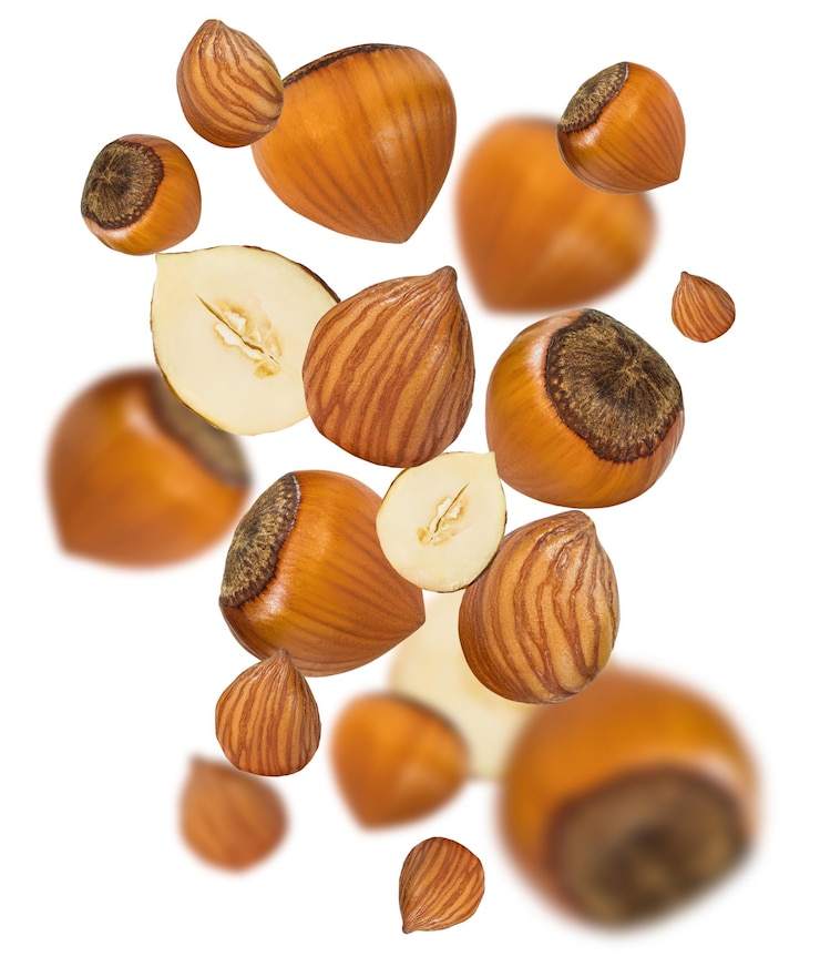 Photo set of flying hazelnuts depth of field isolated on an empty background