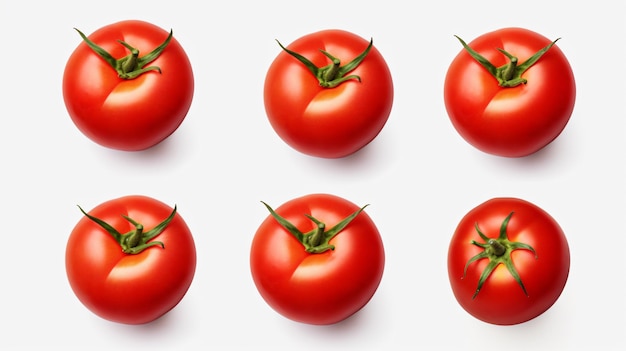 Set of four tomato varieties