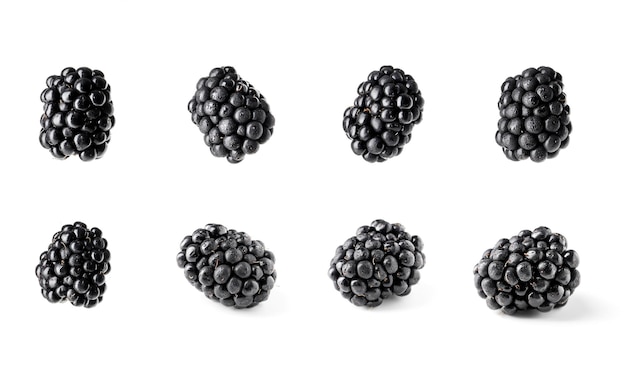 Set of fresh blueberries on white background