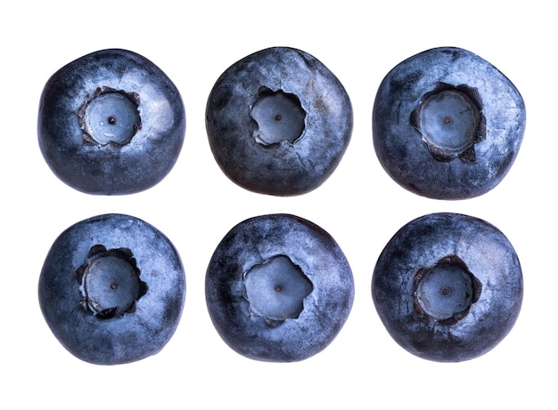 Set of fresh blueberry isolated on white background