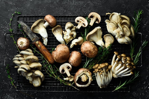 Set of fresh organic mushrooms on a black stone background Top view