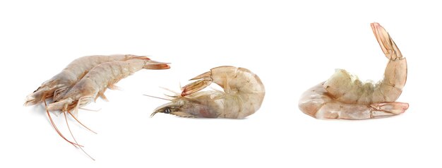 Set of fresh raw shrimps on white background