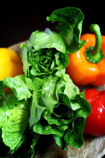 Set of fresh vegetables and salads