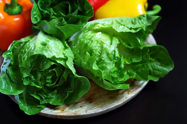 Set of fresh vegetables and salads