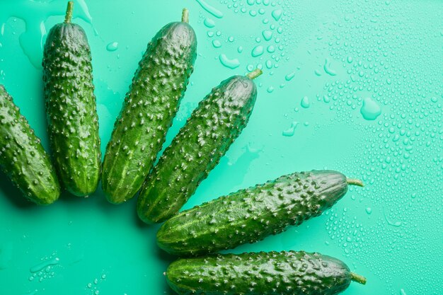 Set of fresh whole cucumbers on a green background, food pattern. Garden cucumber wallpaper backdrop design