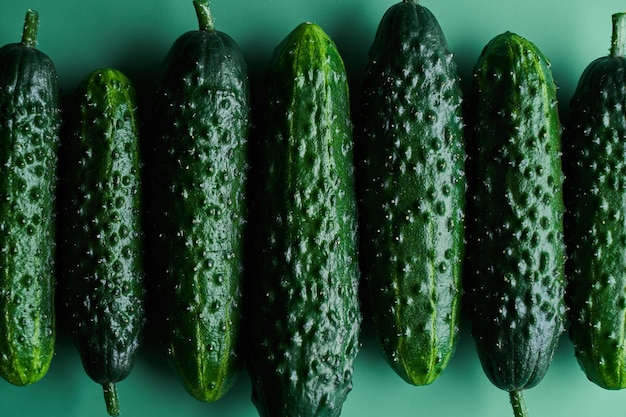 Set di cetrioli freschi interi su uno sfondo verde, modello alimentare. sfondo di carta da parati con cetriolo da giardino