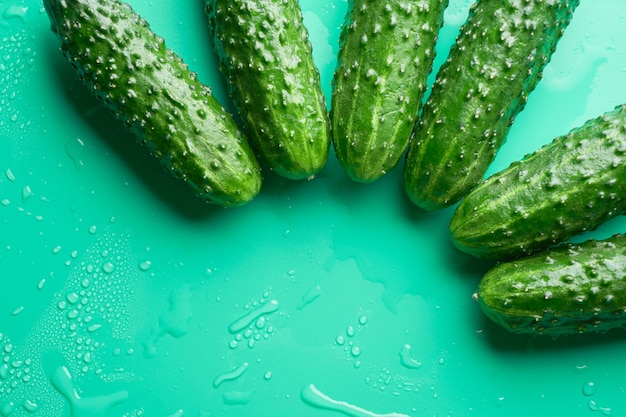 Set of fresh whole cucumbers on a green background, food\
pattern. garden cucumber wallpaper backdrop design