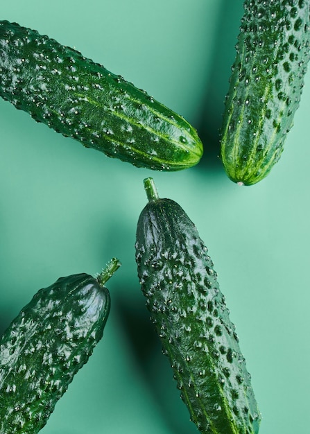 Set of fresh whole cucumbers on a green background, food
pattern. garden cucumber wallpaper backdrop design