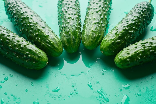 Set of fresh whole cucumbers on a green background, food
pattern. garden cucumber wallpaper backdrop design