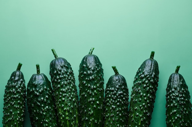 Set of fresh whole cucumbers on a green background, food\
pattern. garden cucumber wallpaper backdrop design