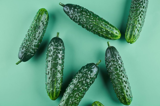 Set of fresh whole cucumbers on a green background, food\
pattern. garden cucumber wallpaper backdrop design