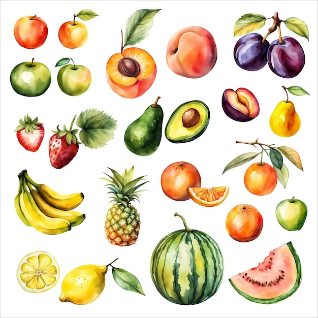 Photo set of fruits watercolour clip art collection isolated hand drawn fruit fresh healthy vegan food