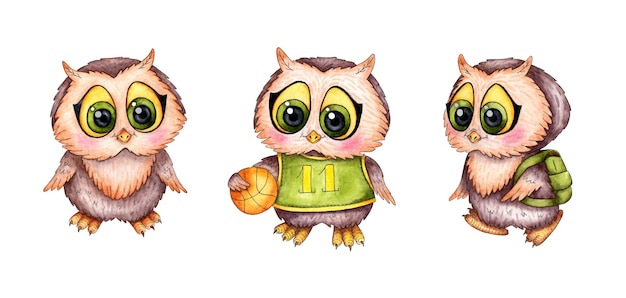 Set of funny watercolor owlets