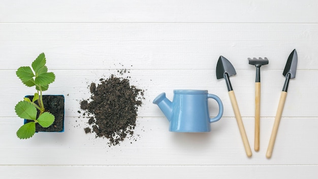 Set of garden tools soil and plant on a wooden background