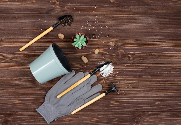 Set of garden tools with gloves and a pot for transplanting flowers on a wooden textured dark background Place for an inscription View from above