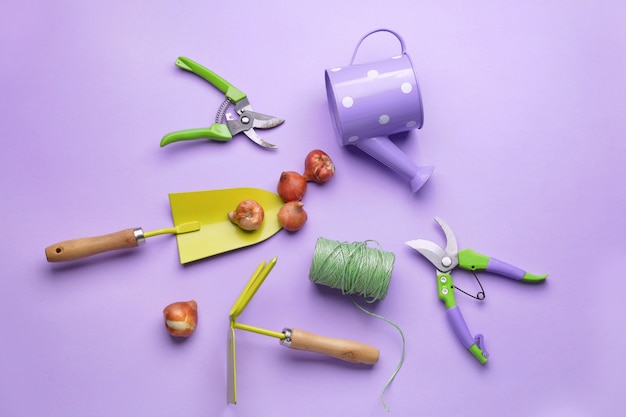 Set of gardening supplies on color