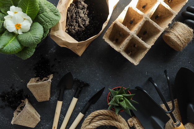 Set of gardening tools on a black background