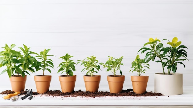 set of gardening tools on table against white brick wall