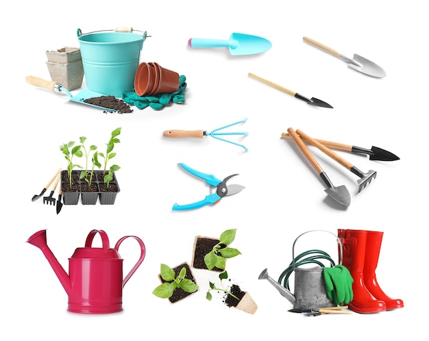 Set of gardening tools and vegetable seedlings on white background